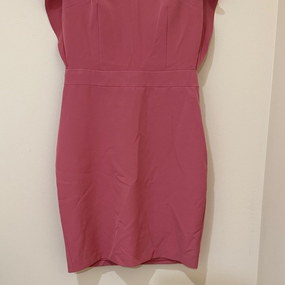 Express Rose Mini women’s classic Dress with Flutter Sleeves Size 0 - Picture 4 of 13